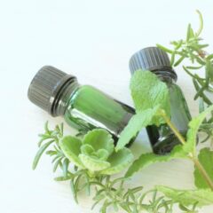 アロマセラピー入門講座、始めます