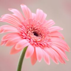 オンラインショップの価格変更完了いたしました。