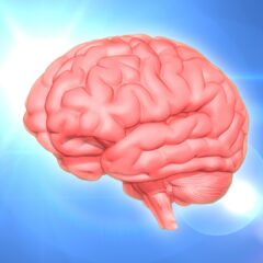 「そもそもアロマって…？」と思われている方へ