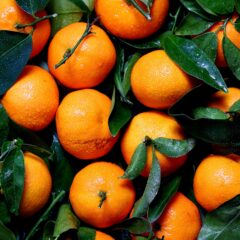 アロマセラピー入門講座⓫～果皮から採られる精油～