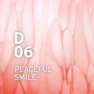 ◇デザインエアー◇D06ピースフルスマイル　solo用ピエゾオイル100ml