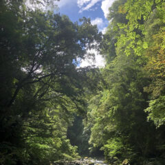 深呼吸、出来ていますか？