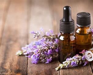 アロマセラピー入門講座❶ ～精油とは～