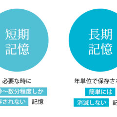 人は忘却の生き物