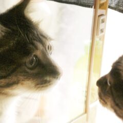 イメコン入門講座❶～「顔」の役割～