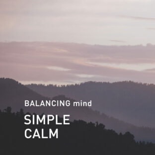 ◆バランシングマインド　シンプルカーム　450mlオイル