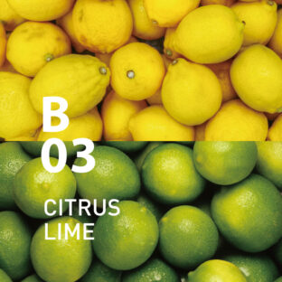 ◆ボタニカルエアー　B03シトラスライム　450mlオイル