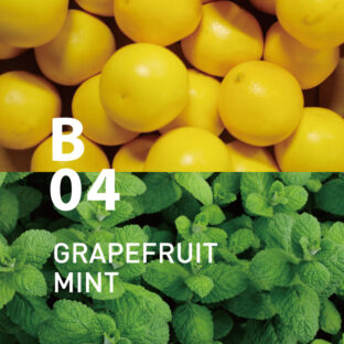 ◆ボタニカルエアー　B04グレープフルーツミント　450ml
