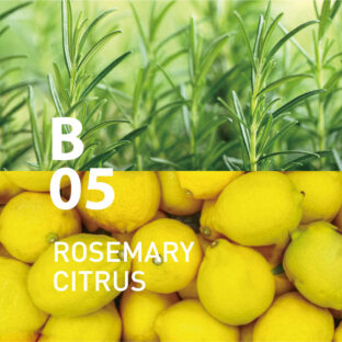 ◆ボタニカルエアー　B05ローズマリーシトラス　450mlオイル