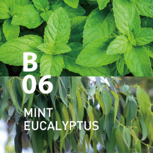 ◆ボタニカルエアー　B06ミントユーカリ　450mlオイル