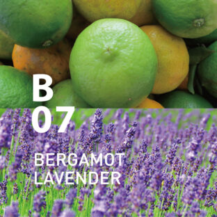 ◆ボタニカルエアー　B07ベルガモットラベンダー　450mlオイル