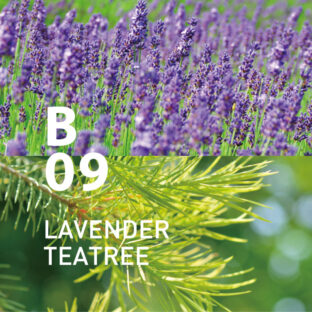 ◆ボタニカルエアー　B09ラベンダーティートリー　450mlオイル