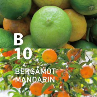 ◆ボタニカルエアー　B10ベルガモットマンダリン　450mオイル