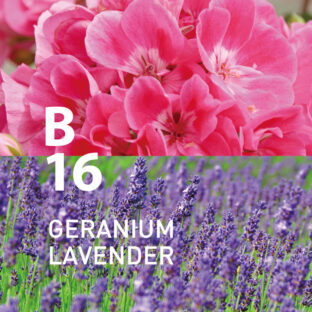 ◆ボタニカルエアー　B16　ゼラニウムラベンダー　450mlオイル