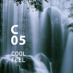 ◆クリーンエアー　C05クールフィール　450mlオイル