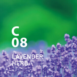 ◆クリーンエアー　C08ラベンダーハーブ　450mlオイル
