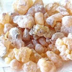 アロマセラピー入門講座⓬～樹脂から採られる精油～