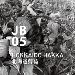 ◆ジャパニーズボタニカルエアー　JB05北海道薄荷　450mlオイル