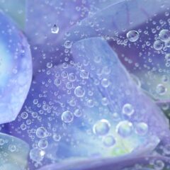 「梅雨」にお薦めのアロマ空間デザイン